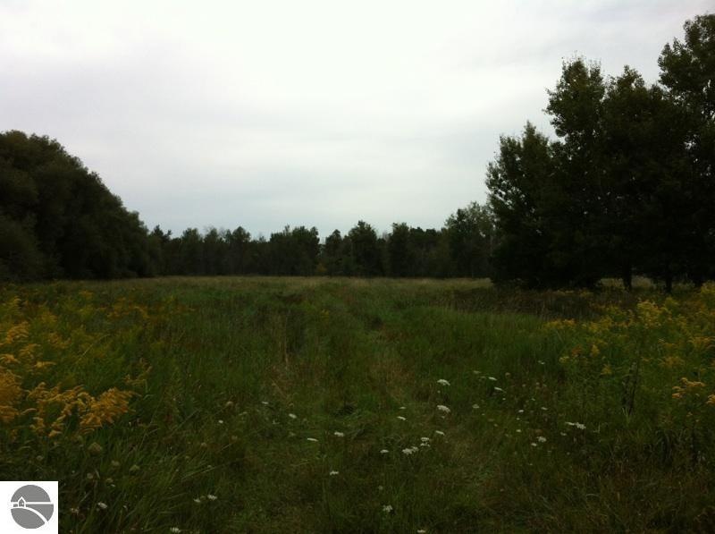 N/A Noggle Rd, Omer, MI 48749 - photo 1