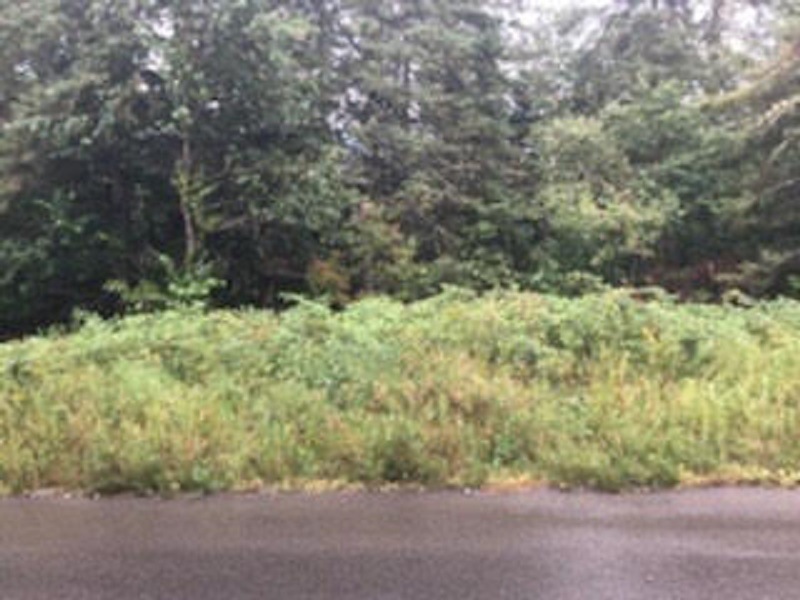 M417 L104.1 Marshall Hill Rd, Columbia, NH 03576 - photo 1