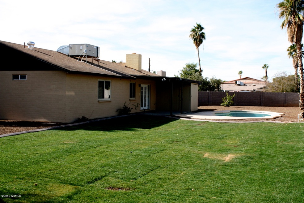 backyard 3