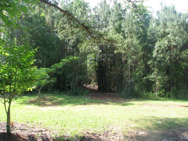 View from Pear Tree Road