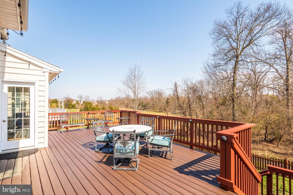 25304 Talent St, Chantilly, VA 20152 - photo 1