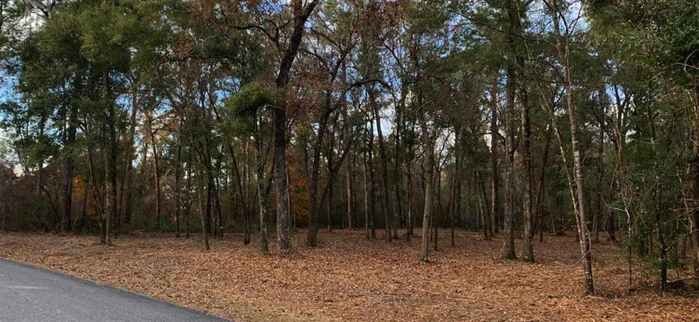 Lot 1 Strattonwood Place, Crawfordville, FL 32327 - photo 1