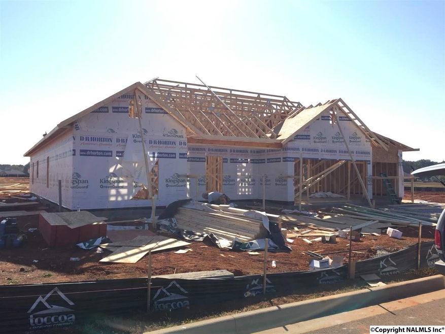 The Hayden is projected to be move in ready by 1/20/17 - 5 bedrooms, 3 baths, study, AND 3 car garage!  Welcome home!