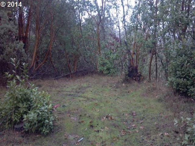 0 Sky Way, Grants Pass, OR 97527 - photo 1