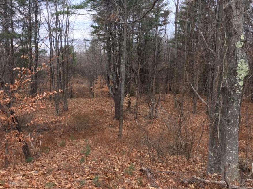 0 Silver St unit 4464070, Milton, NH 03851 - photo 1