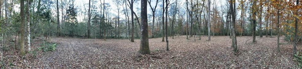 Lot 6A Strattonwood Place, Crawfordville, FL 32327 - photo 1