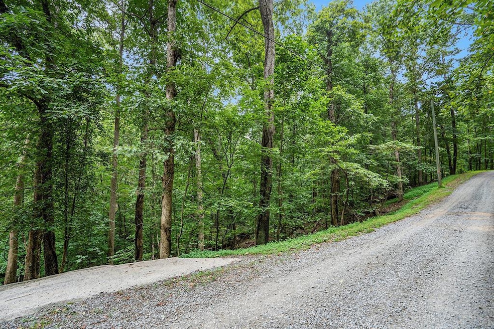 Lot 72 Huron Cir, Ellijay, GA 30540 - photo 1