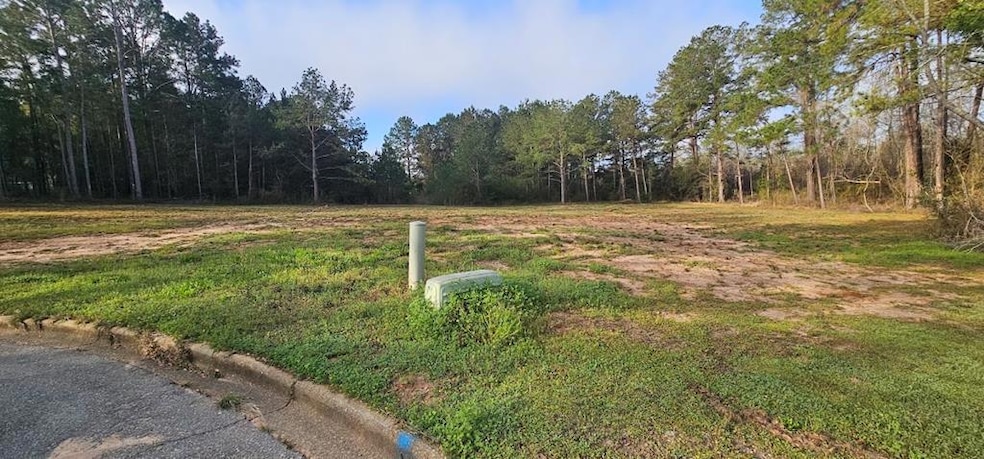 Lot 42 & 43 Anita Ct, Dothan, AL 36303 - photo 1