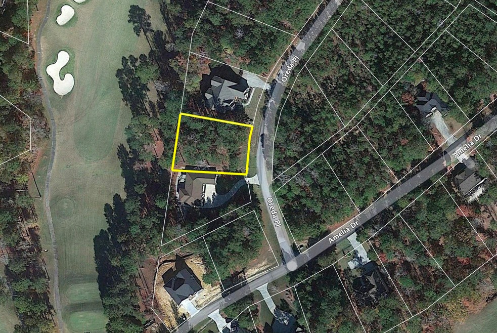 Satellite View