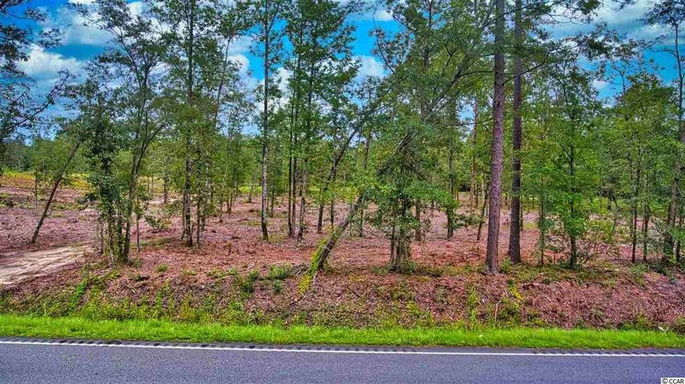 TBD Tract B S Carolina 19, Loris, SC 29569 - photo 1