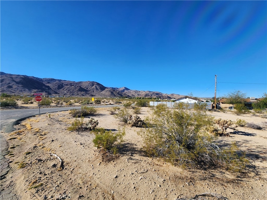4 LOT Juniper Ave, Twentynine Palms, CA 92277 - photo 1