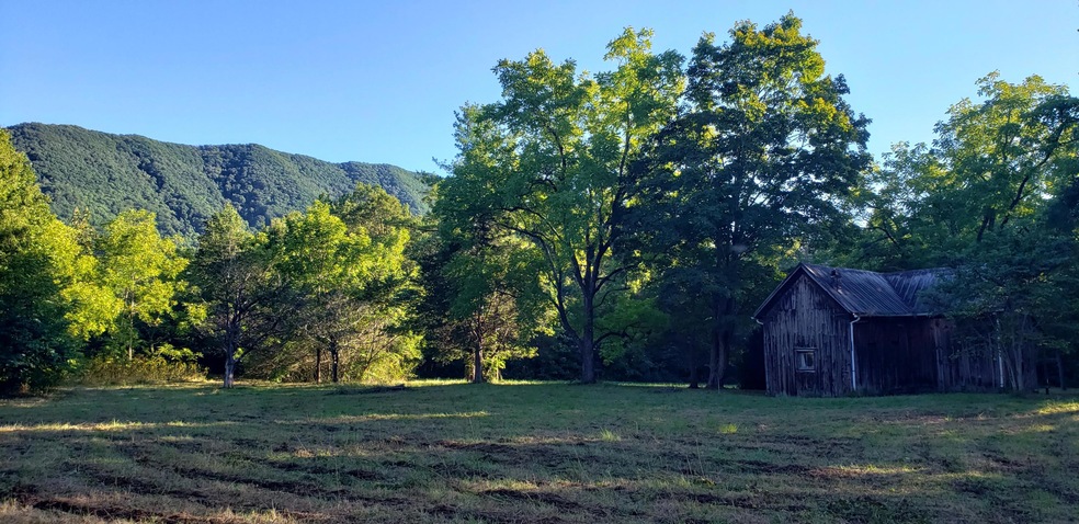 0 Colyer Rd, Greeneville, TN 37743 - photo 1