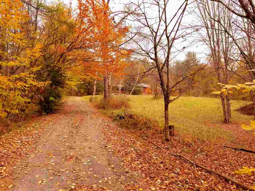 0 Leach Brook Rd, Town of Rockingham, VT 05101 - photo 1