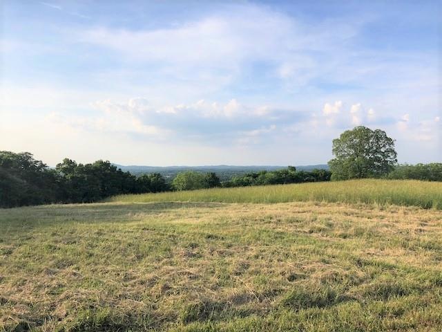 14 Scenic View Ln, Shelbyville, TN 37160 - photo 1