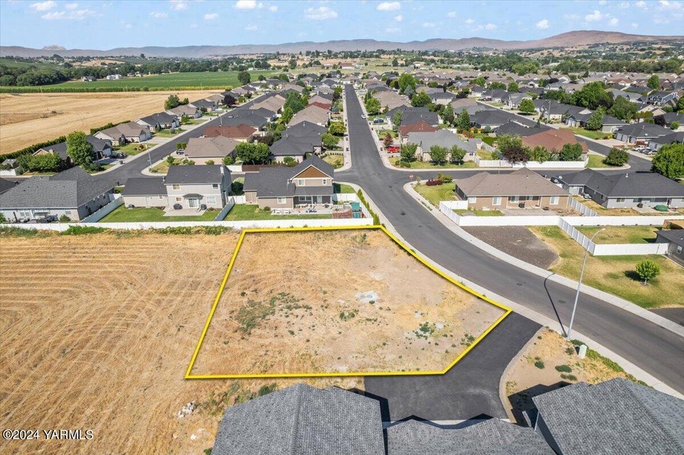1- Overview of lot