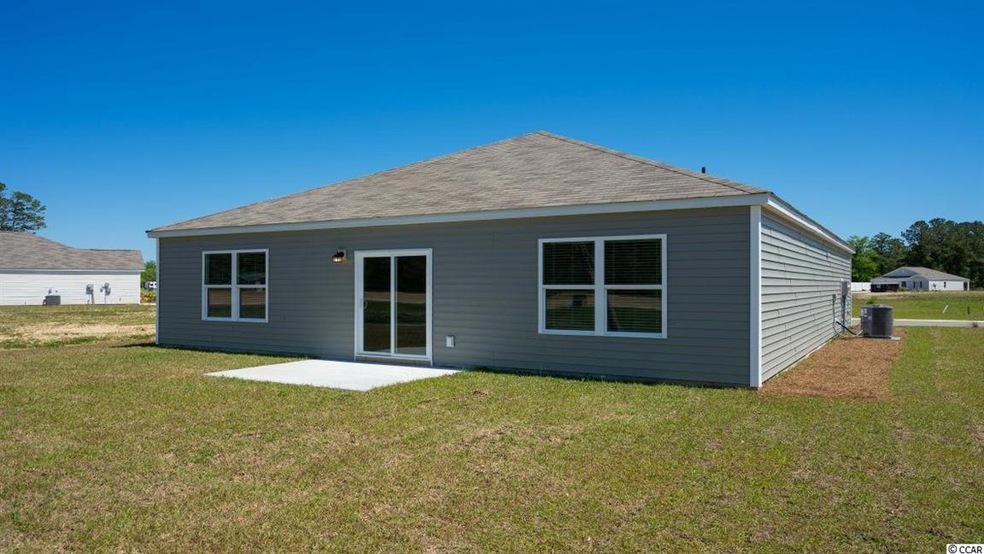 408 Spruce Pine Way unit Lot 216 - Macon B, Conway, SC 29526 - photo 1