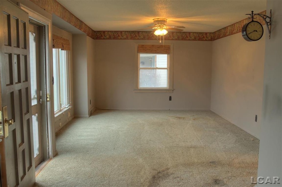 351 N Mckenzie St, Adrian, MI 49221 - photo 1