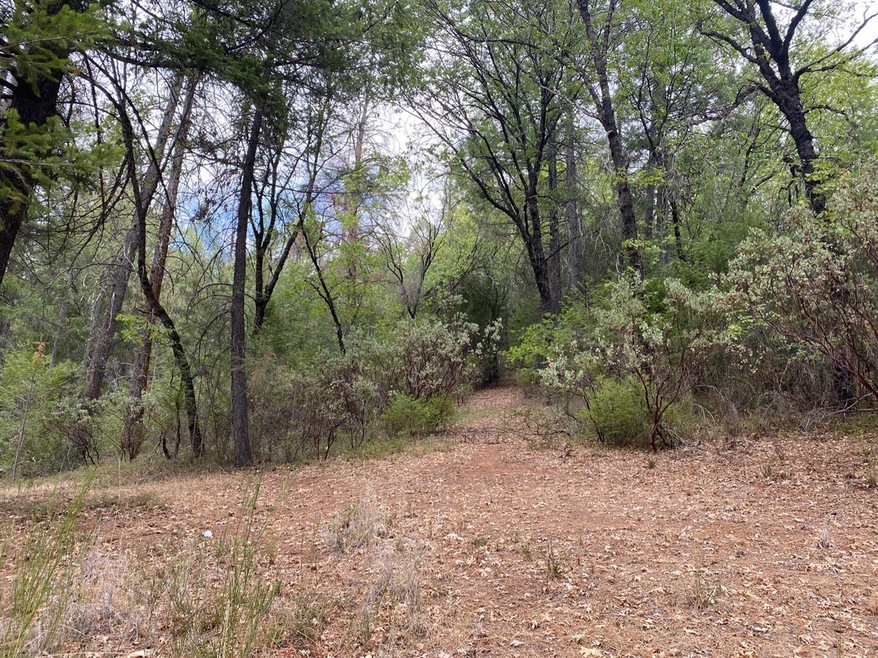 2 Chapman Trail, Placerville, CA 95667 - photo 1