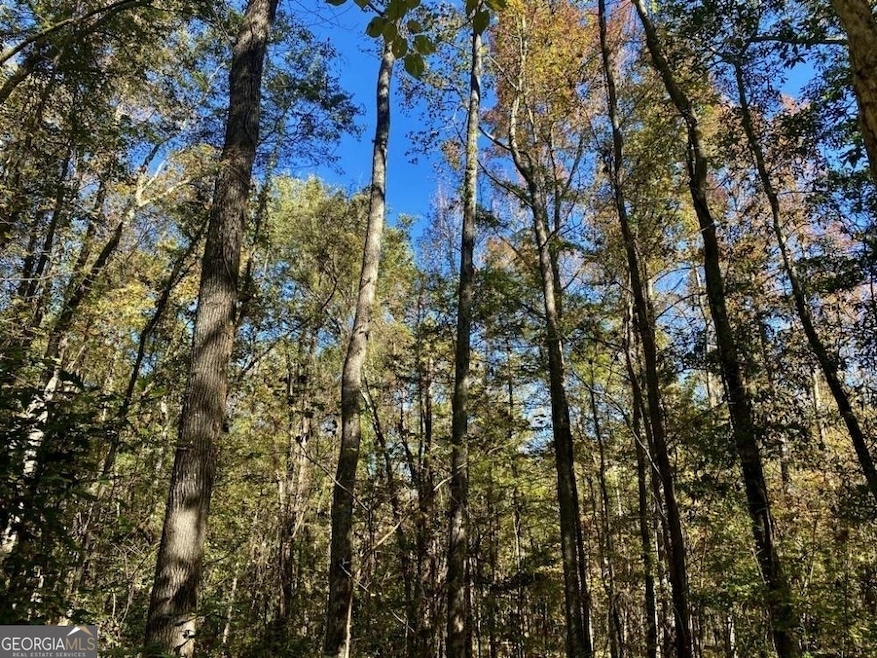 313 Mackenzie Dr, Gray, GA 31032 - photo 1