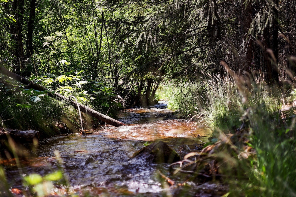 Peaceful Creek