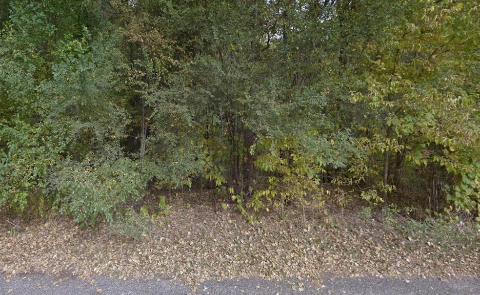 0 Tellin Ct unit 1617240, Campbell, WI 54603 - photo 1