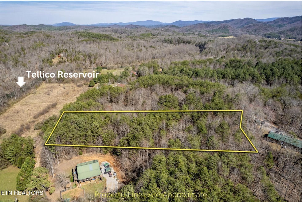 Private Tellico Plains Lot