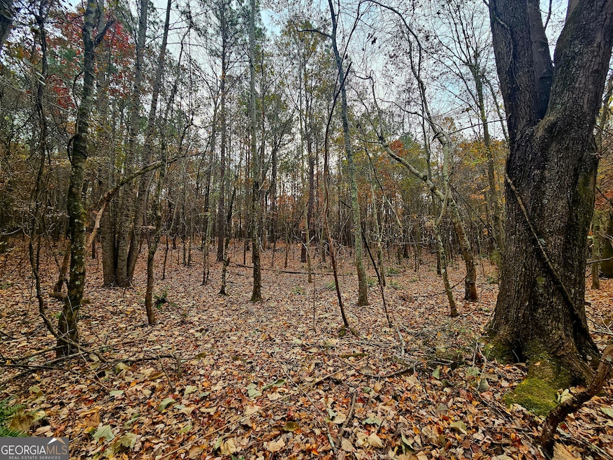 0 Windy Hill Rd unit 10646717, Franklin, GA 30217 - photo 1