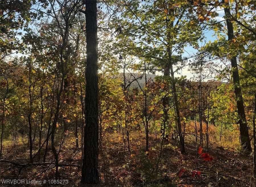 TBD Bengal Rd, Talihina, OK 74571 - photo 1