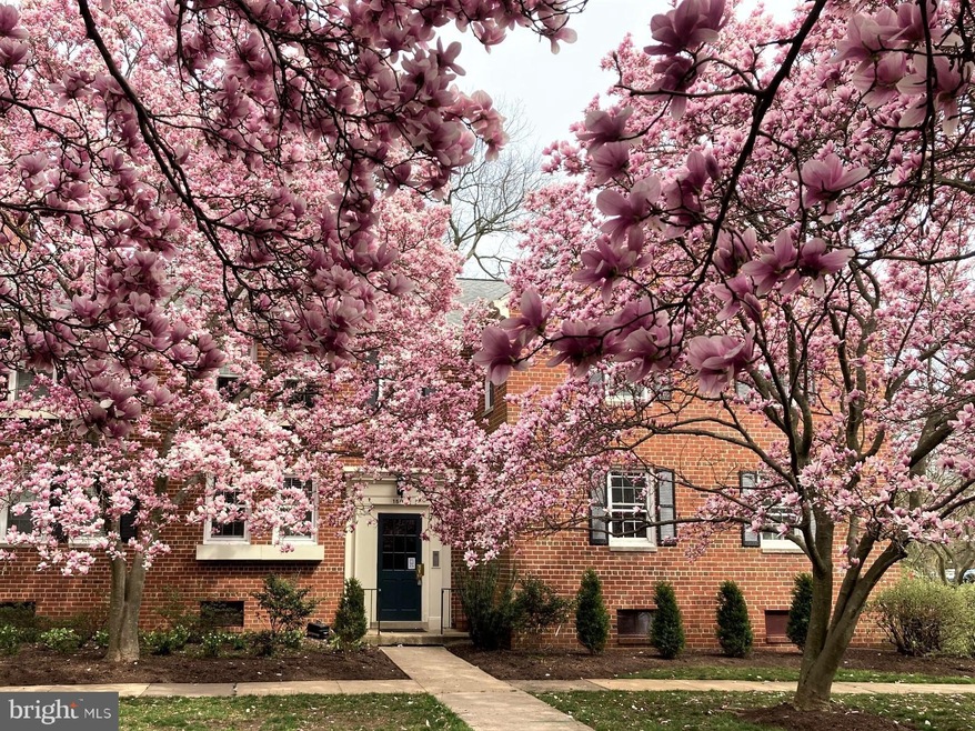 1505 Belle View Blvd unit A2, Alexandria, VA 22307 - photo 1