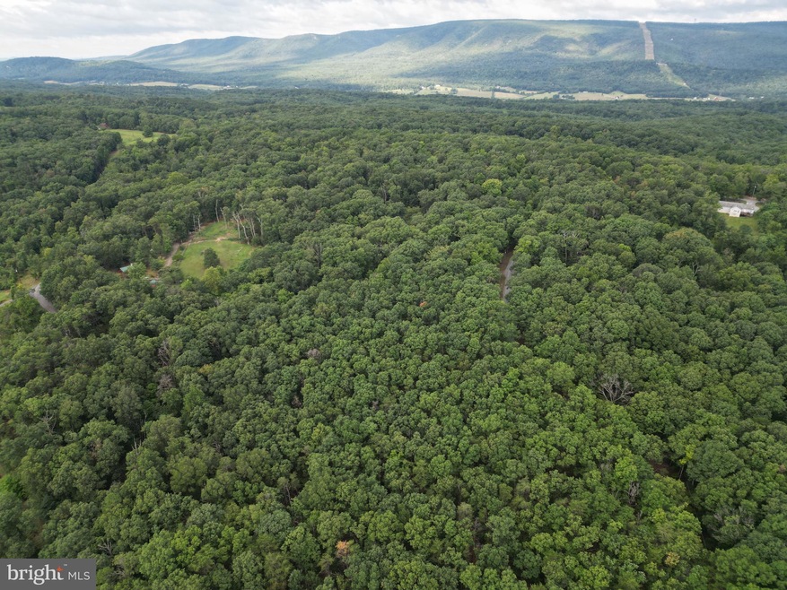 0 Pinewood Ln, Berkeley Springs, WV 25411 - photo 1