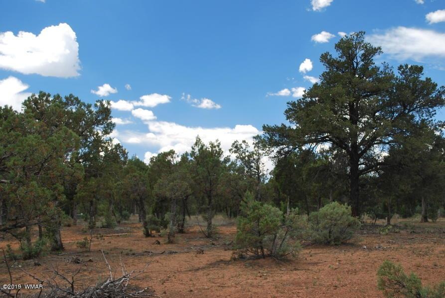 1261 N Fairway Ln, Show Low, AZ 85901 - photo 1