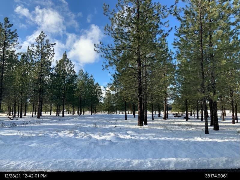 29XXX N Perry Rd, Deer Park, WA 99006 - photo 1