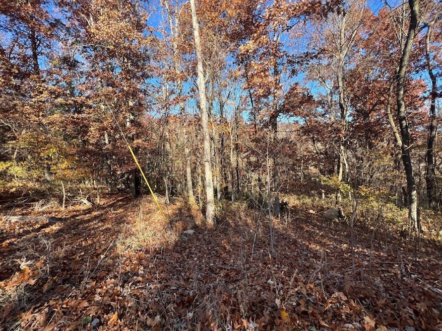 Lot 16 Brierton Ln, Bella Vista, AR 72715 - photo 1