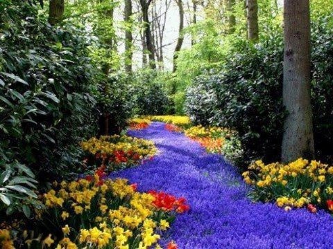 FlowersGorgeous