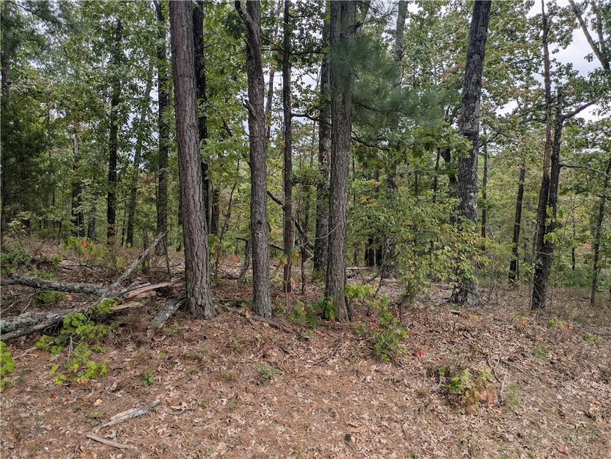 Lot 3 E Lancashire Blvd, Bella Vista, AR 72714 - photo 1