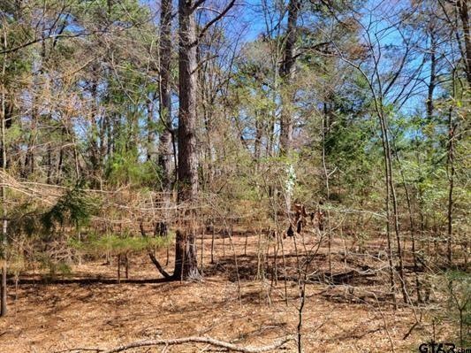 TBD Big Oak Bay Rd, Tyler, TX 75707 - photo 1