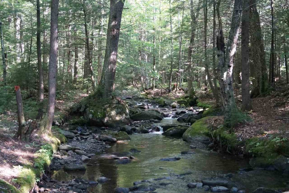 White Brook and Patterson Brook merge in the north