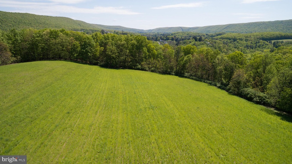 Lot 0 Tiley Rd, Ashland, PA 17921 - photo 1