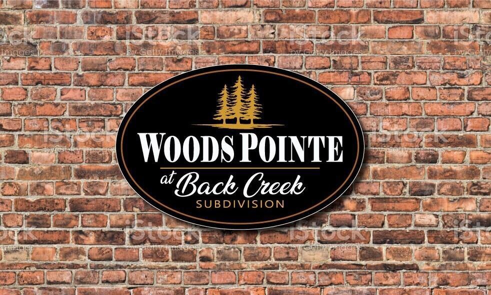 Woods Pointe Pic