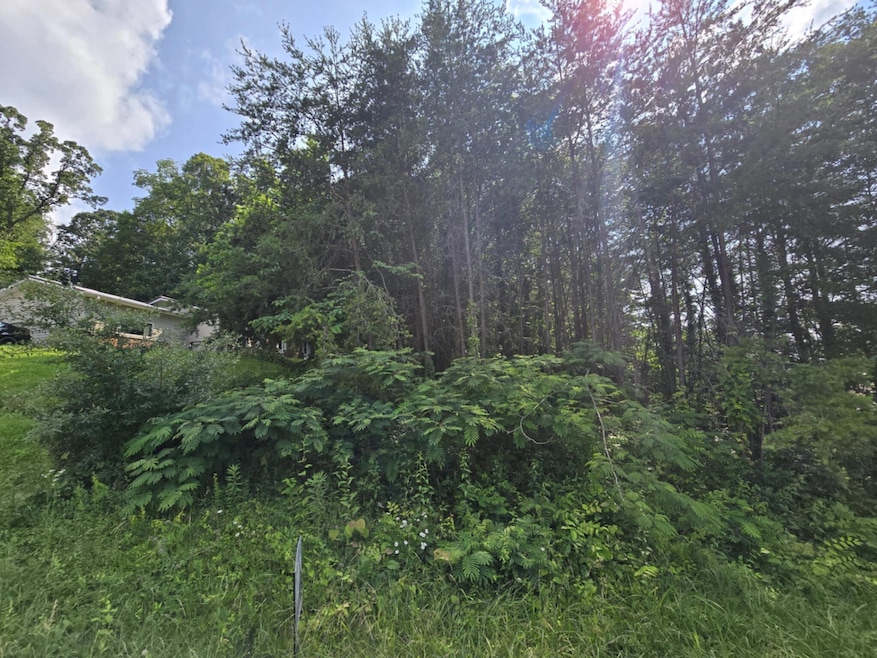 1466 Dandelion Cir, Morristown, TN 37814 - photo 1