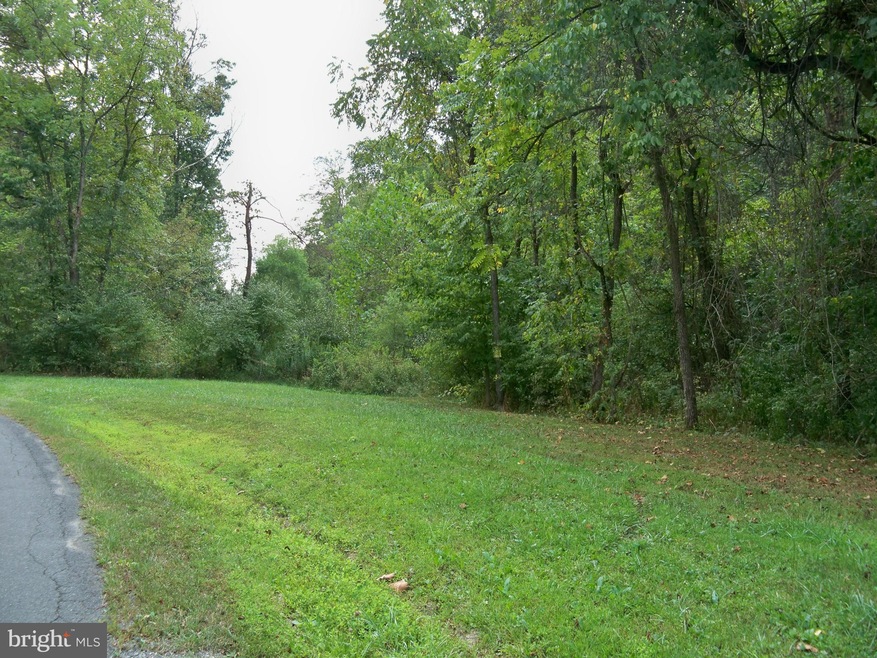 0 Three Run Rd unit 1000089147, Bunker Hill, WV 25413 - photo 1