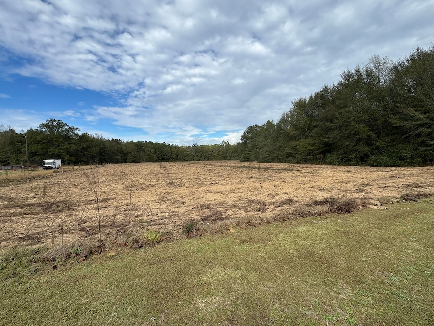 Lot 1 Freemanville Dr, Atmore, AL 36502 - photo 1