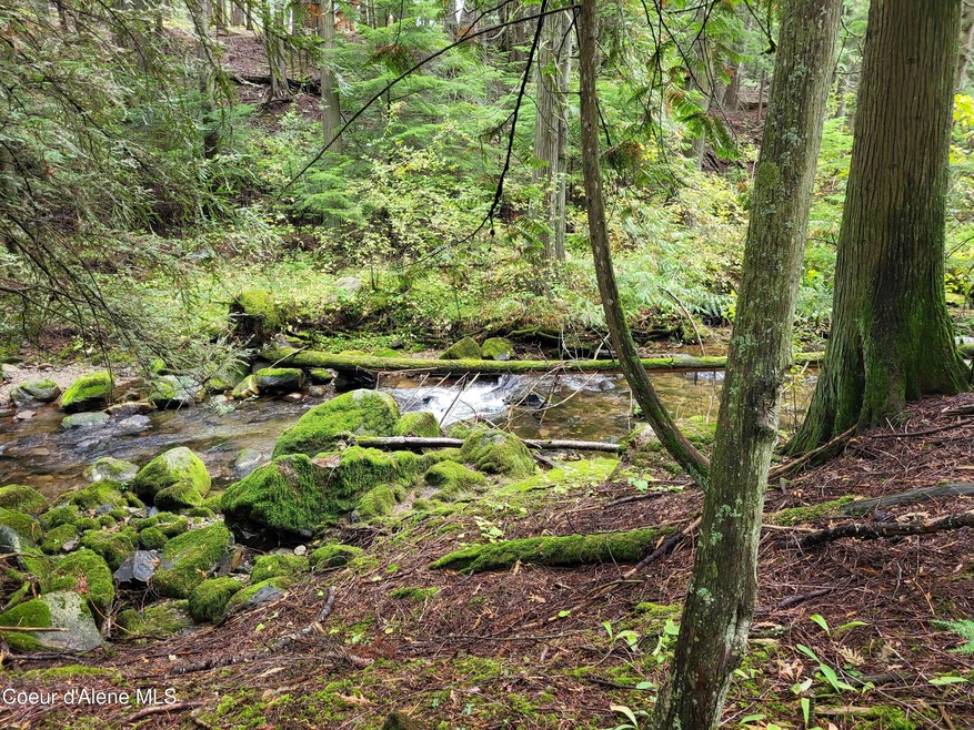 Granite Creek 8