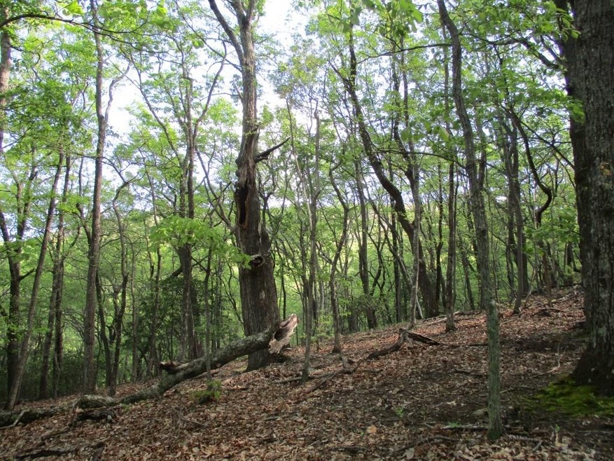 4410 Bee Tree Ridge Ct, Jasper, GA 30143 - photo 1