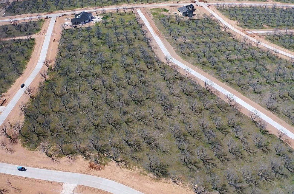 Aerial view featuring endless amounts of Pecan tre
