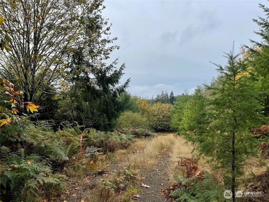30 Acres Glenwood Rd SW, Port Orchard, WA 98367 - photo 1