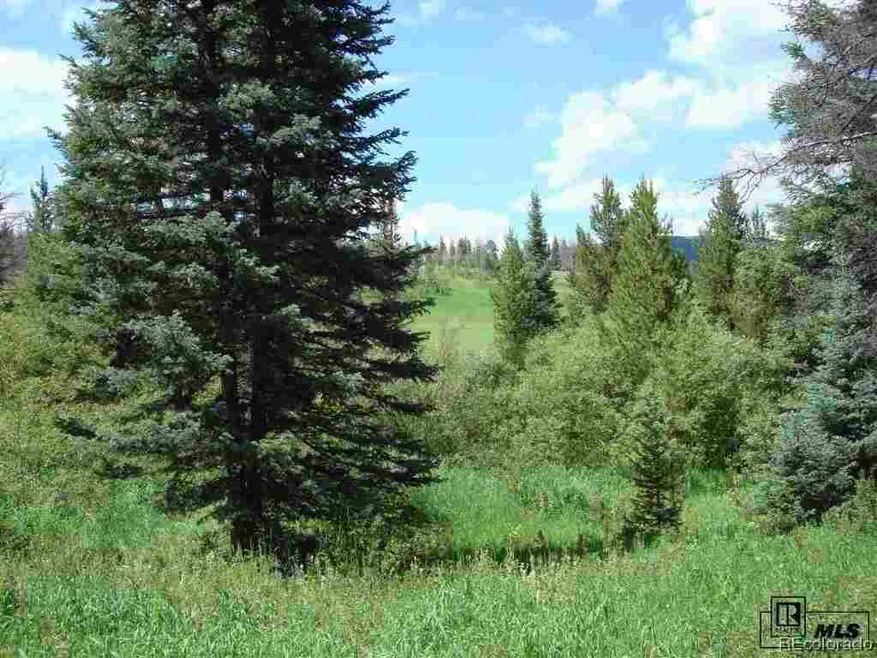 32615 Colt Trail, Oak Creek, CO 80467 - photo 1