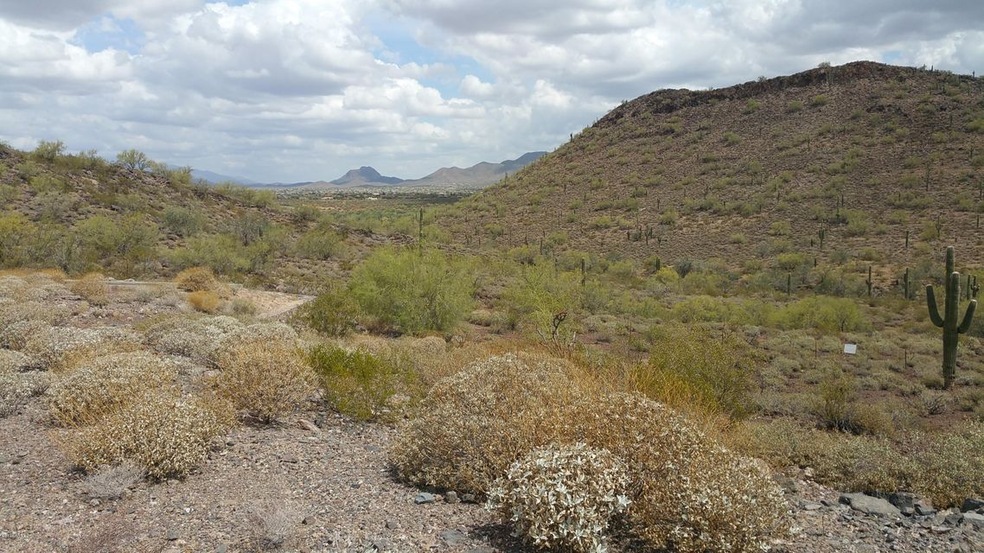 20150514_103833