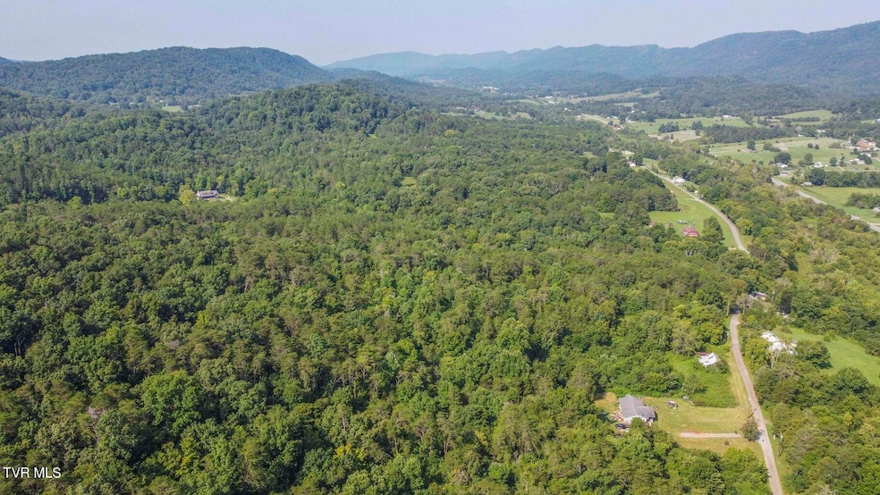 20 Acres Tbd Dunville Gap Rd, Rutledge, TN 37861 - photo 1