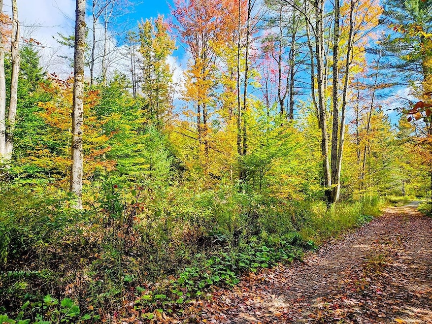 Pending $45,000 • Co-Listing Agent